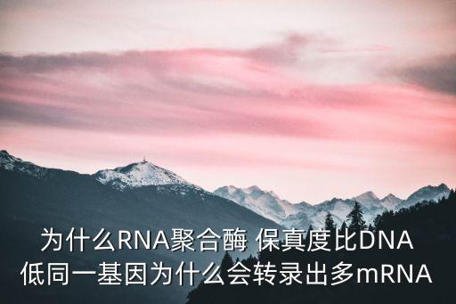 为什么rna聚合酶 保真度比dna低同一基因为什么会转录出多mrna