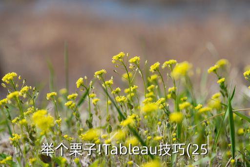 tableau 数据量