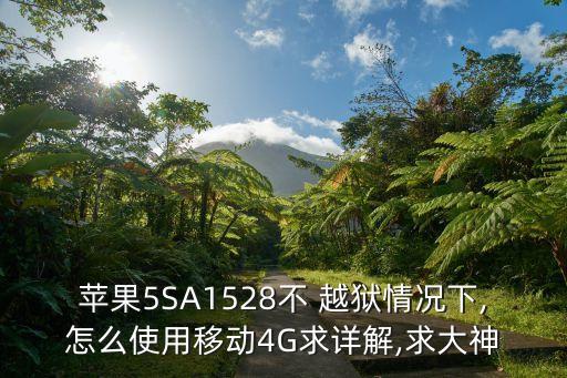 苹果5sa1528不 越狱情况下,怎么使用移动4g求详解,求大神