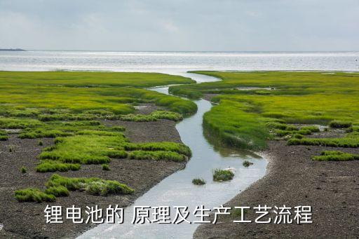 锂电池的 原理及生产工艺流程