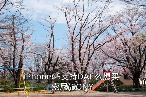 iphone6s支持dac么想买 索尼(sony