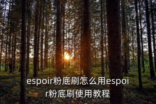 espoir粉底刷怎么用espoir粉底刷使用教程