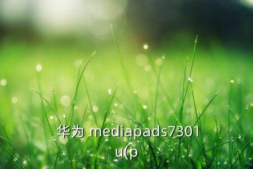  华为 mediapads7301u(p