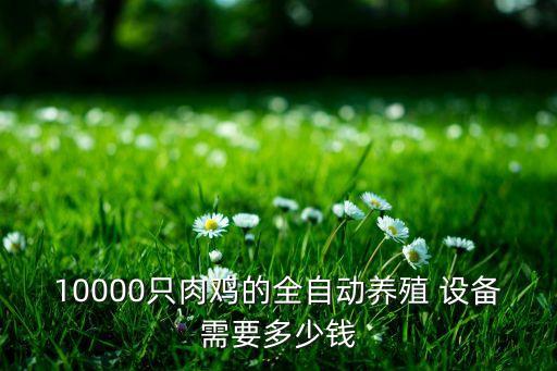 10000只肉鸡的全自动养殖 设备需要多少钱