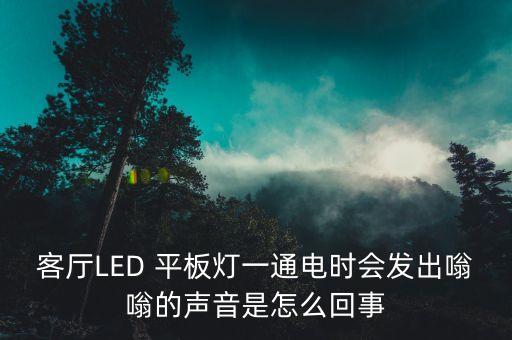 客厅led 平板灯一通电时会发出嗡嗡的声音是怎么回事