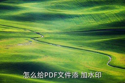 怎么给pdf文件添 加水印