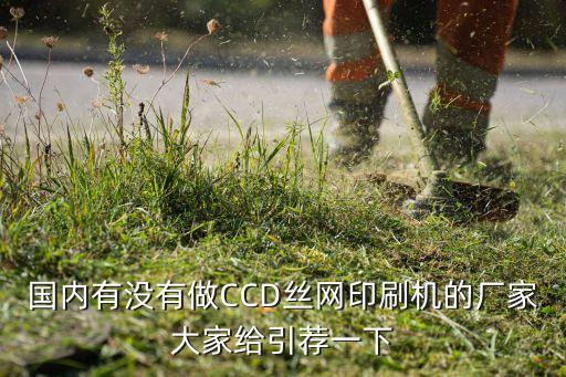 国内有没有做ccd丝网印刷机的厂家大家给引荐一下