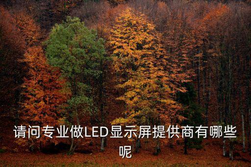 请问专业做led显示屏提供商有哪些呢