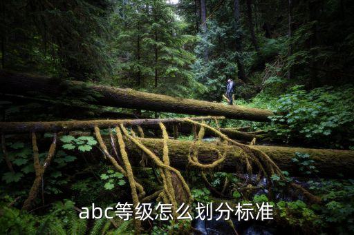 abc等级怎么划分标准