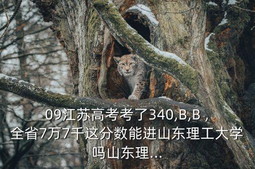 09江苏高考考了340,b,b ,全省7万7千这分数能进山东理工大学吗山东理...