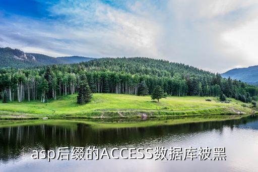 asp后缀的access数据库被黑