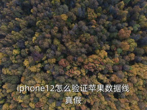 iphone12怎么验证苹果数据线真假