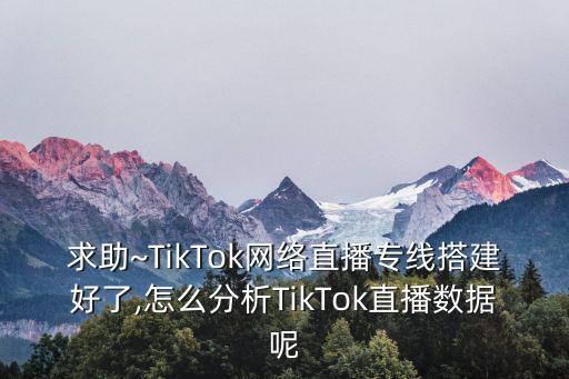 求助~tiktok网络直播专线搭建好了,怎么分析tiktok直播数据呢