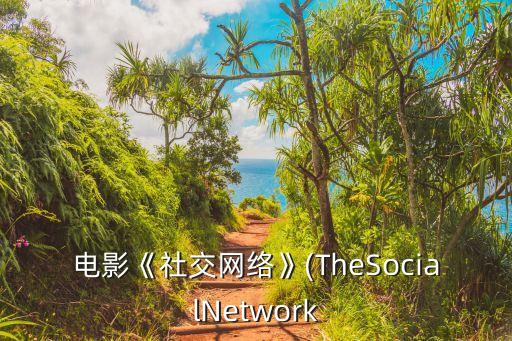 电影《社交网络》(thesocialnetwork