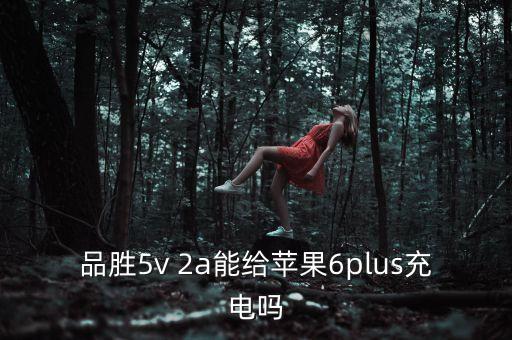 品胜5v 2a能给苹果6plus充电吗