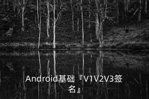 android基础『v1v2v3签名』