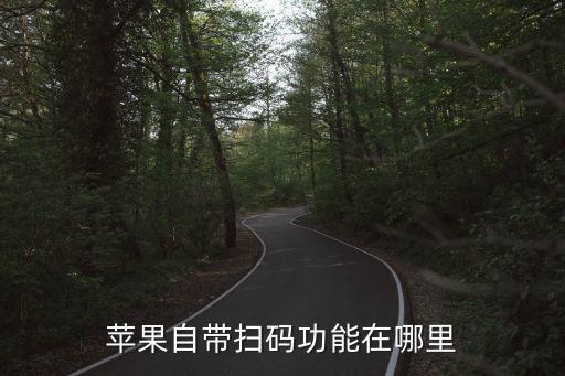 苹果自带扫码功能在哪里