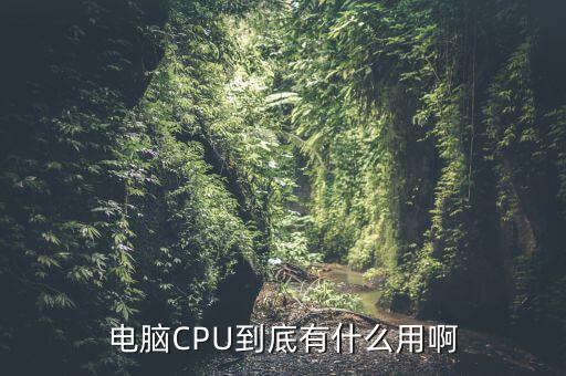 电脑cpu到底有什么用啊