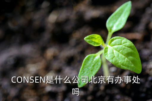 consen是什么公司北京有办事处吗