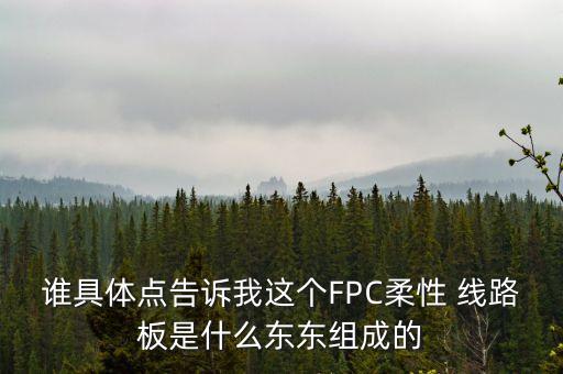 谁具体点告诉我这个fpc柔性 线路板是什么东东组成的