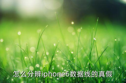 怎么分辨iphone6数据线的真假