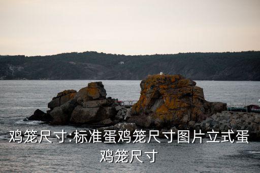 浙江自动化鸡笼设备厂家,自动化养鸡笼有哪些优点?