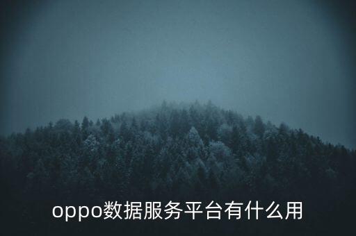 oppo数据服务平台有什么用