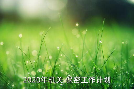 2020年机关 保密工作计划