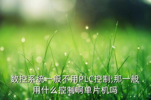 数控系统一般不用plc控制,那一般用什么控制啊单片机吗