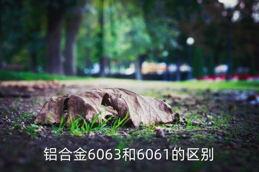 铝合金6063和6061的区别