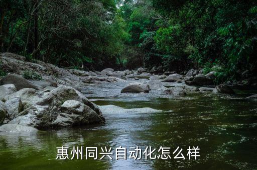 惠州同兴自动化怎么样