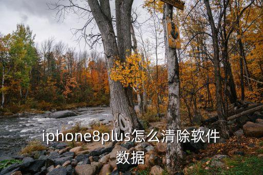 iphone8plus怎么清除软件数据