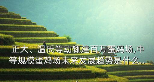  正大、温氏等动辄建百万蛋鸡场,中等规模蛋鸡场未来发展趋势是什么...