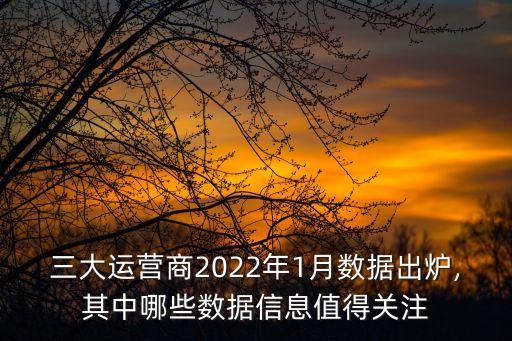 三大运营商2022年1月数据出炉,其中哪些数据信息值得关注