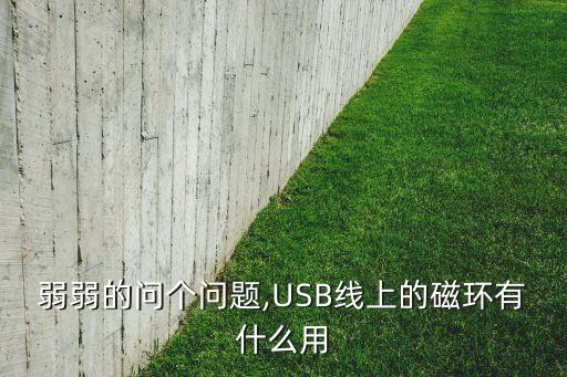 弱弱的问个问题,usb线上的磁环有什么用