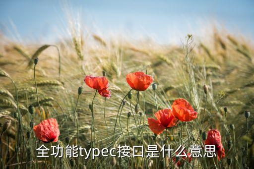 全功能typec接口是什么意思