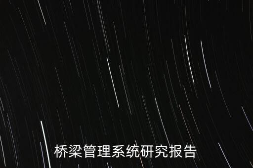 桥梁管理系统研究报告