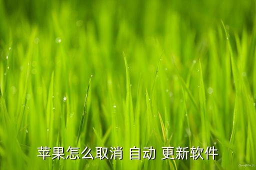 苹果怎么取消 自动 更新软件