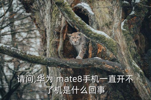 请问,华为 mate8手机一直开不了机是什么回事