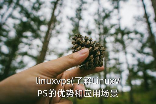 linuxvps(了解linuxvps的优势和应用场景