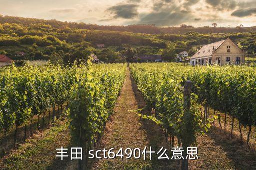 丰田 sct6490什么意思