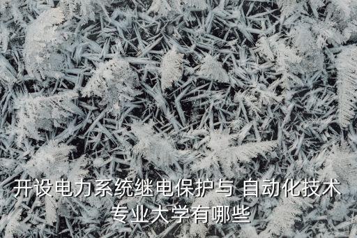 开设电力系统继电保护与 自动化技术 专业大学有哪些