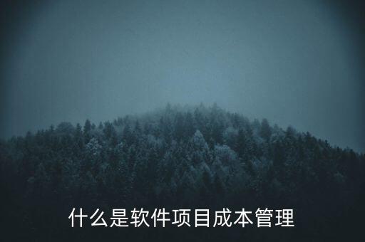 什么是软件项目成本管理