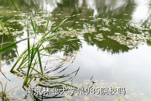 南京林业大学是985院校吗