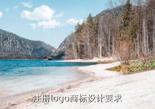 自动化公司注册商标要求,公司注册商标流程如何进行预先检索