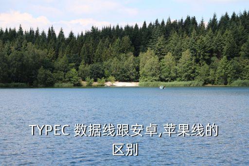 typec 数据线跟安卓,苹果线的区别