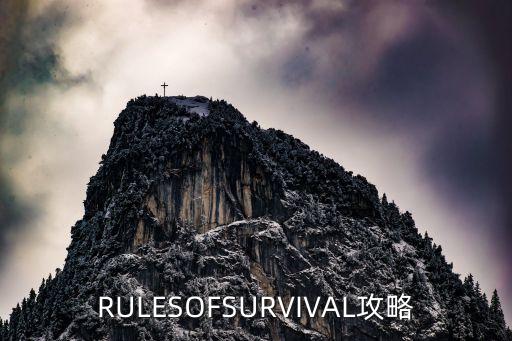 rulesofsurvival攻略