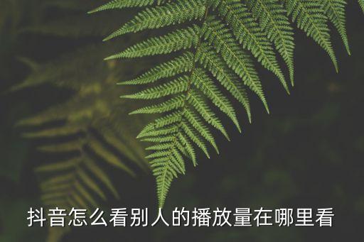 抖音怎么看别人的播放量在哪里看