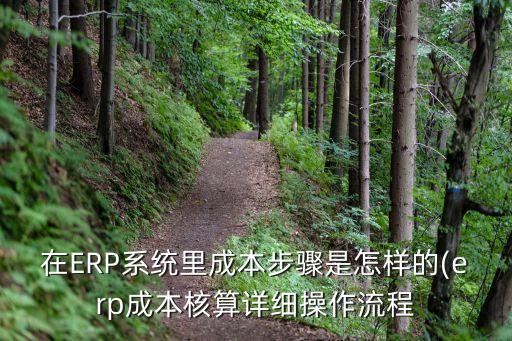 在erp系统里成本步骤是怎样的(erp成本核算详细操作流程