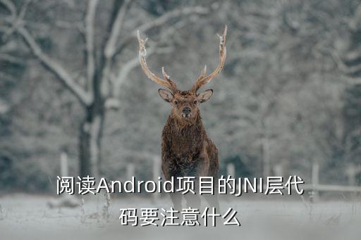 阅读android项目的jni层代码要注意什么